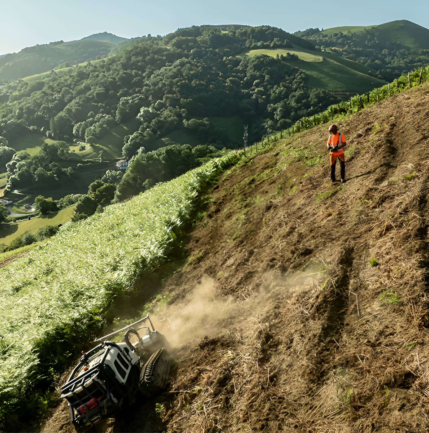 Worker in hi-vis vest operating remote-controlled slope mower on steep hillside vineyard with green valley backdrop