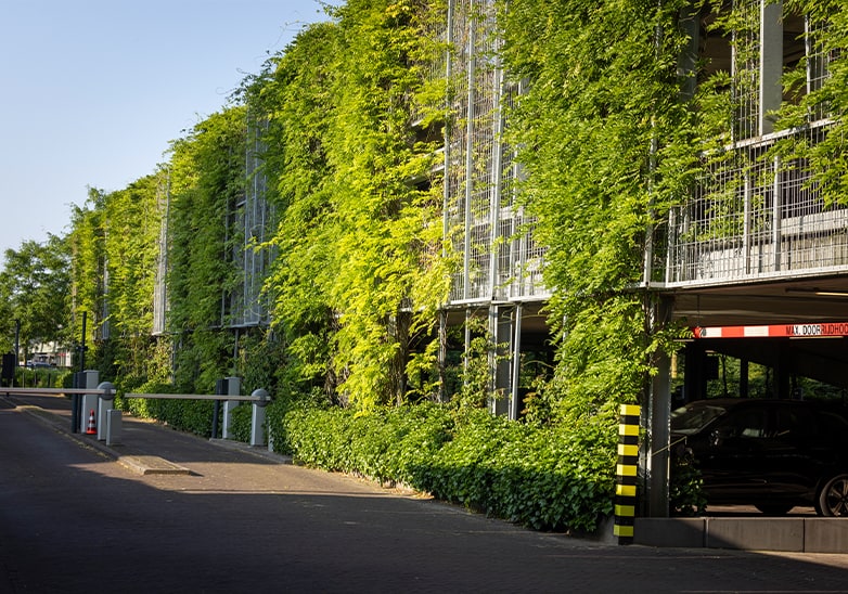 Green-covered multi-storey car park with lush climbing plants on metal trellis façade beside a quiet urban road