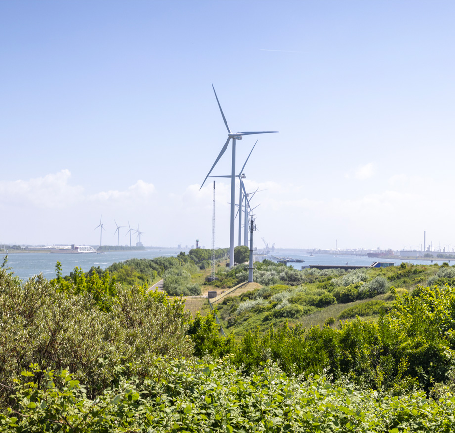 Wind turbines rise above dense coastal scrubland alongside a busy waterway, illustrating the intersection of renewable energy infrastructure and managed natural landscapes.