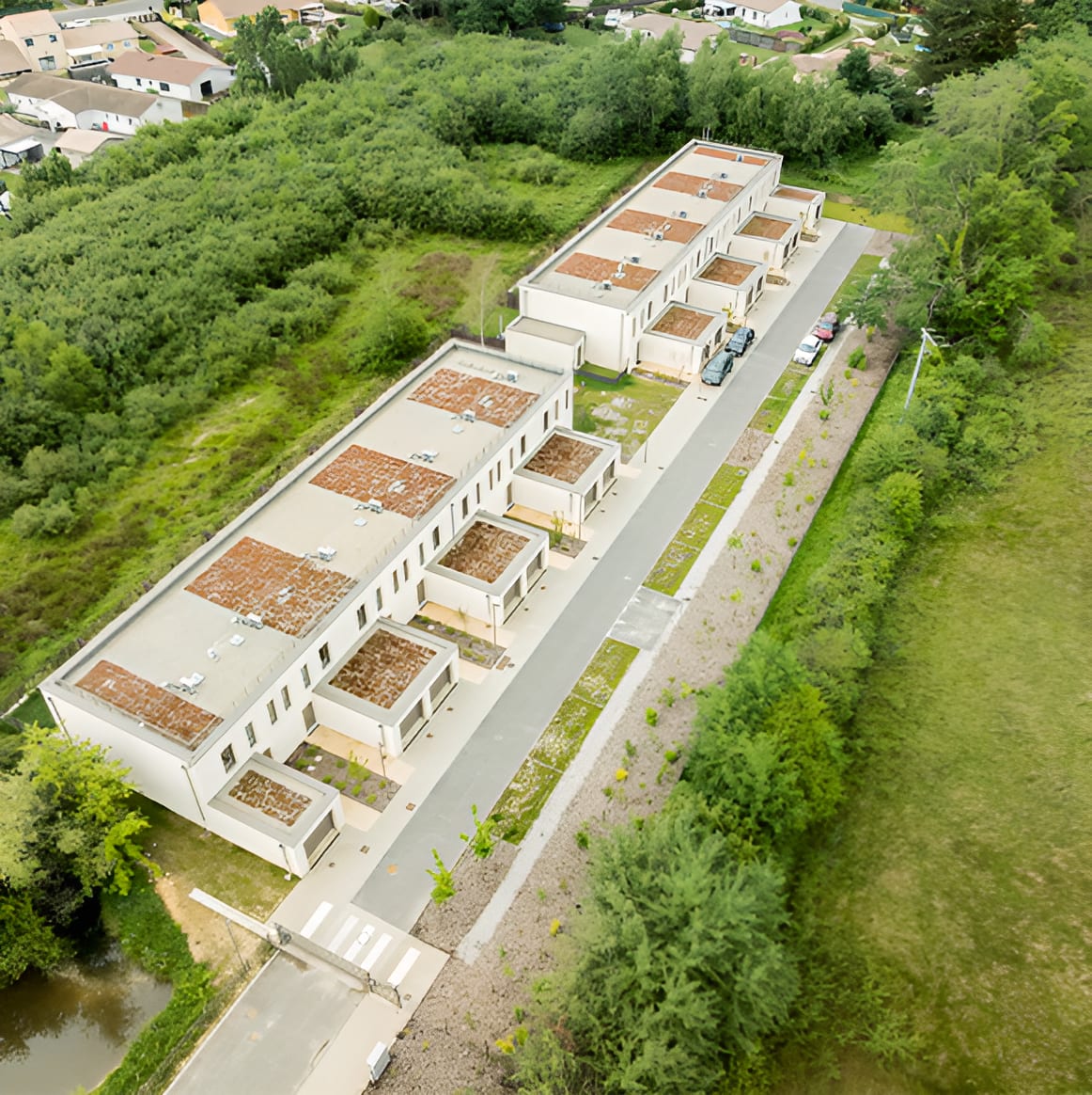 Aerial view of modern residential complex with green roofs surrounded by lush vegetation and a tree-lined pathway