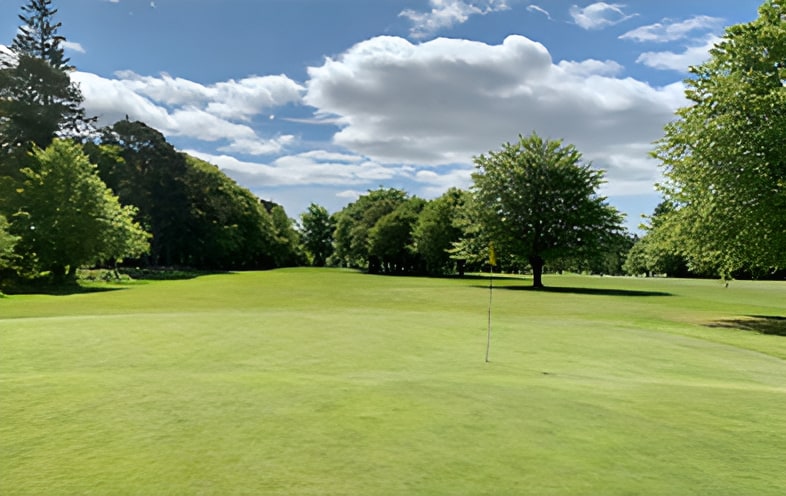 Well-maintained golf course green with flagstick, lush fairway, mature trees, and blue sky with clouds