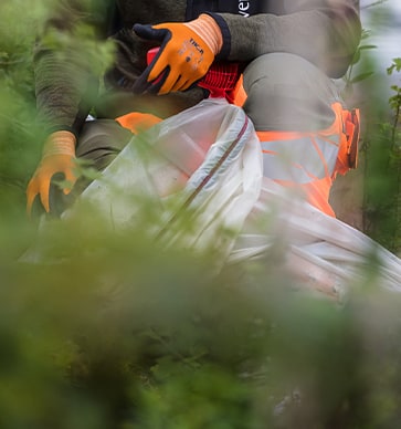 idverde worker in orange gloves and hi-vis vest collecting litter into a clear bag among green shrubs outdoors