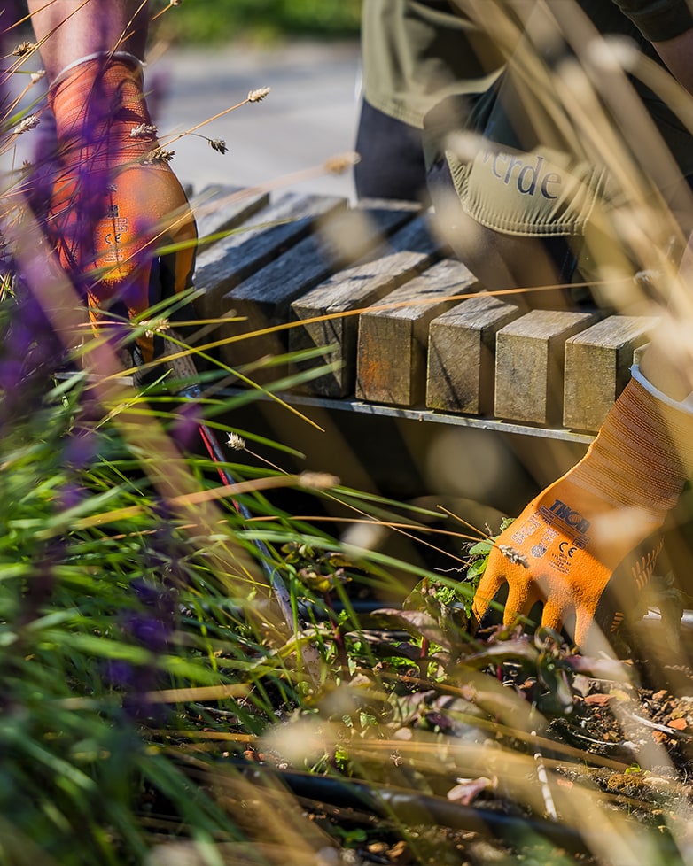 idverde worker in orange gloves tending plants near wooden edging in a landscaped garden border