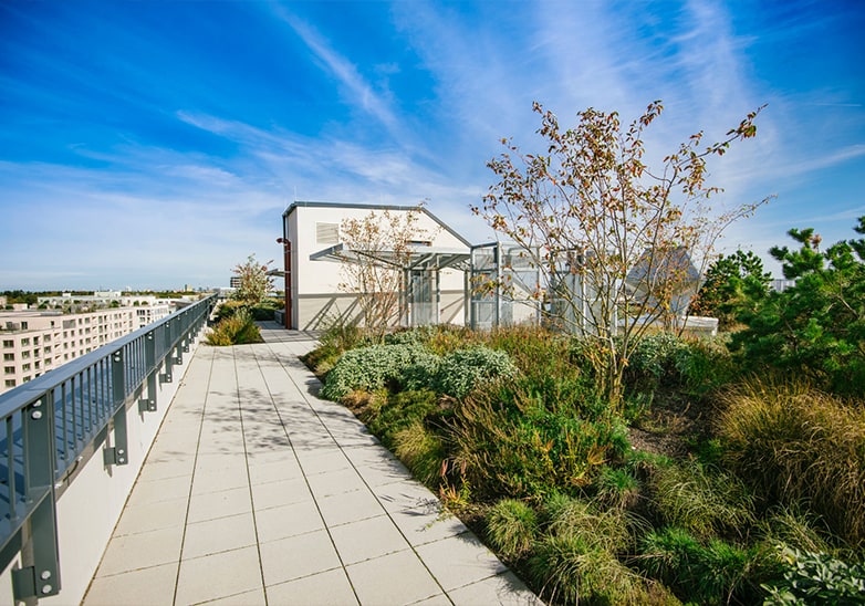 Lush rooftop garden with paved walkway, ornamental grasses, shrubs and trees against a blue sky