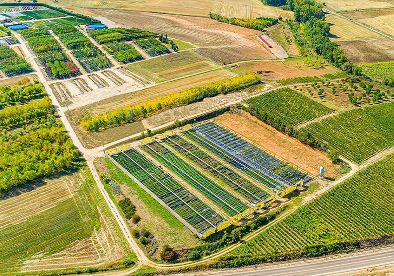 Aerial view of idverde nursery with greenhouse rows, tree plantations, and organised growing fields across a large rural site
