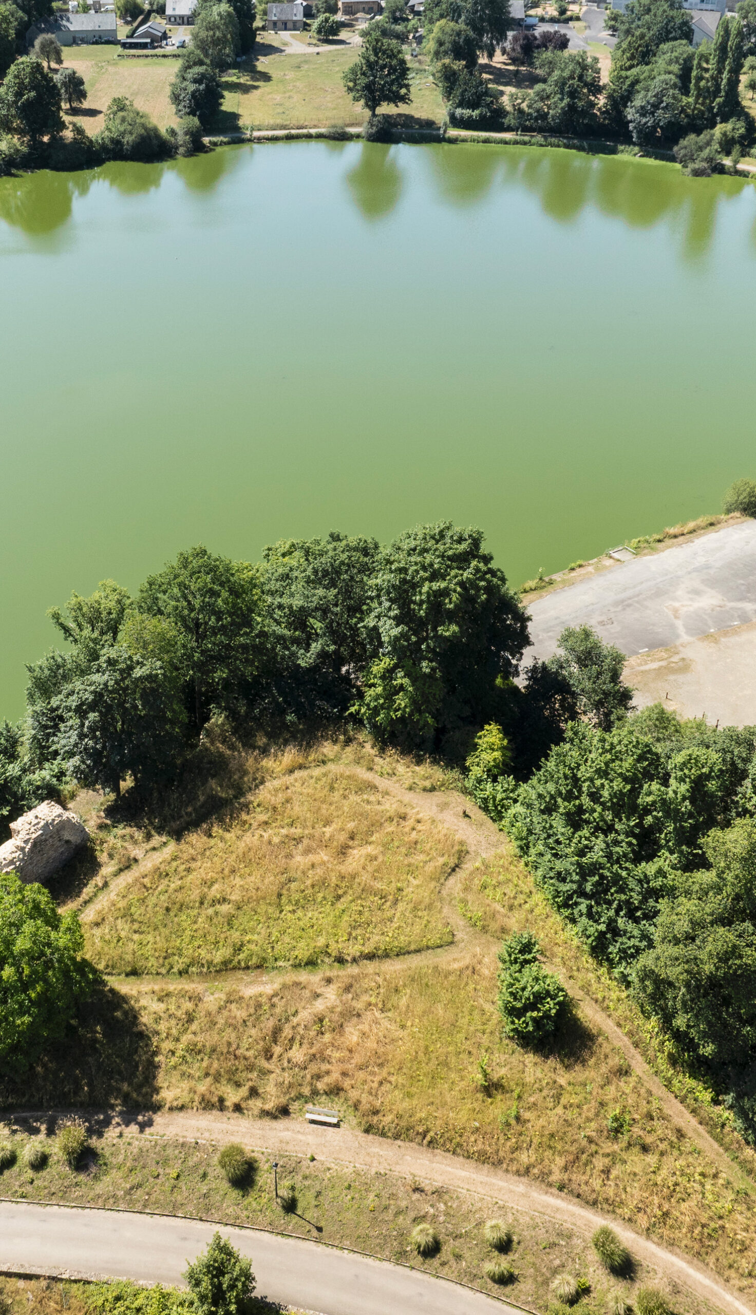 Aerial view of a large rural pond surrounded by mature trees and grassland, with visibly algae-rich water reflecting the summer canopy, adjacent to a gravel hardstanding and agricultural landscape.